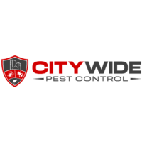 Citywideantcontrolsydney