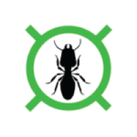 Detecta Pest