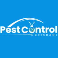 Silverfishcontrolbrisbane