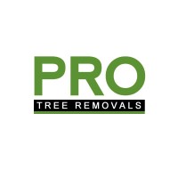 Pro Tree Removal Brisbane