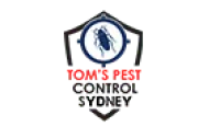 Termite Sydney