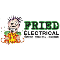 Friedelectrical