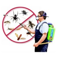 Pestcontrolcroydonpark