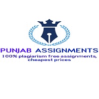 Punjab Assignment