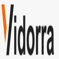 Vidorra Consulting