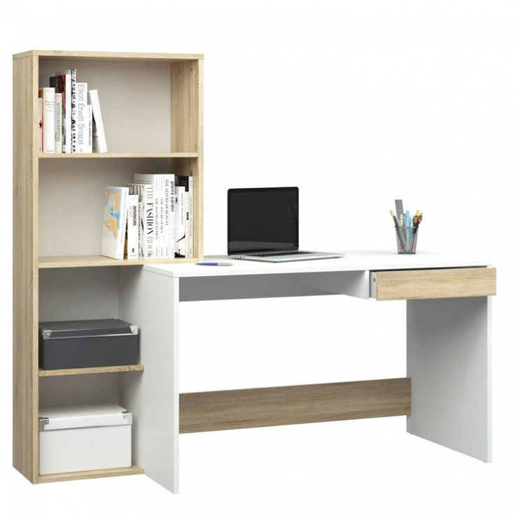 Function Home Office Desk with Storage B