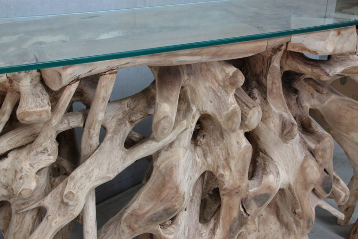 Wooden Handcarved Root Console Table