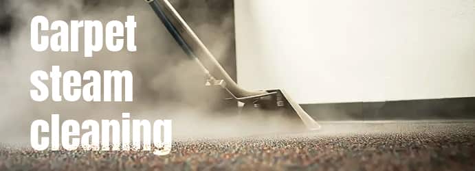 Carpet Cleaning Vaucluse