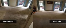 Carpet Cleaning Craigieburn