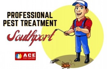 Pest Control Southport