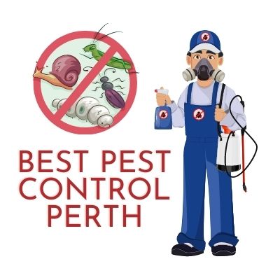 Best Pest Control Perth