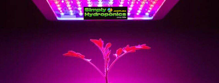 Led Lighting for Hydroponics, Led Lights