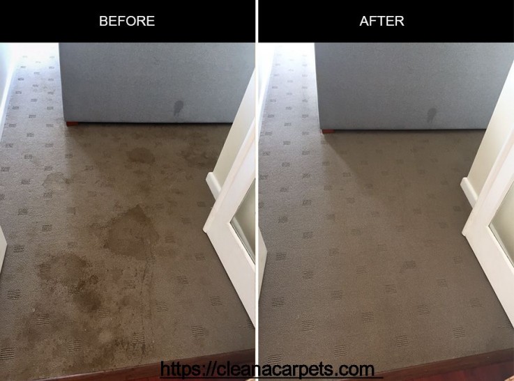 Carpet Flood Damaged - CleanaCarpets