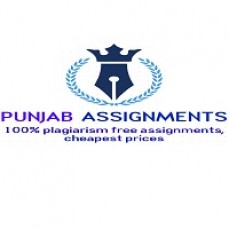 HI5019 Strategic Information System Group Assignment | Punjab Assignment