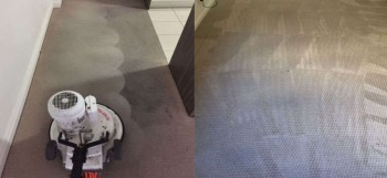 Carpet Cleaning Tugun