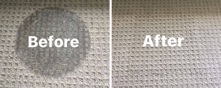 Carpet Cleaning Tugun