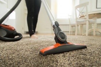 Carpet Cleaning Labrador