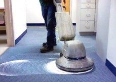 Carpet Cleaning Aroona