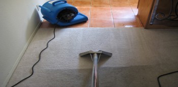 Carpet Cleaning Eltham