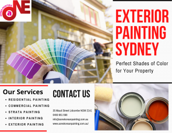 Top-rated exterior painting services for your residential and commercial property