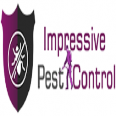 Termite Control Melbourne