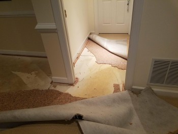 Flood Damage Restoration Melbourne