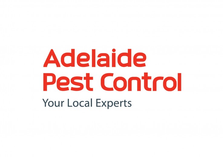 Rat Control | Adelaide Pest Control