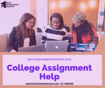 college assignment help