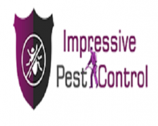 Impressive Pest Control Brisbane