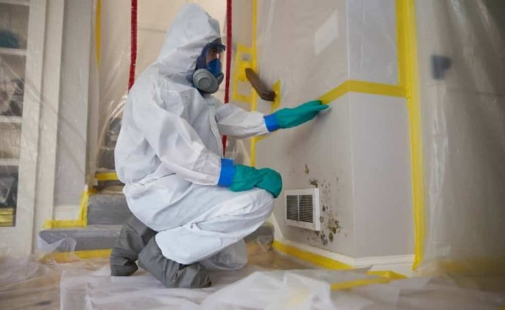 Commercial Mould Remediation In Australia 