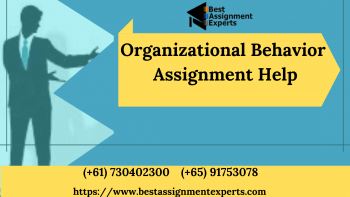  organisational behaviour case study help