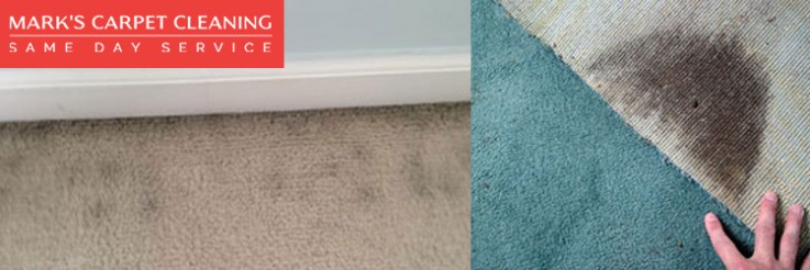 Carpet Cleaning Cranbourne