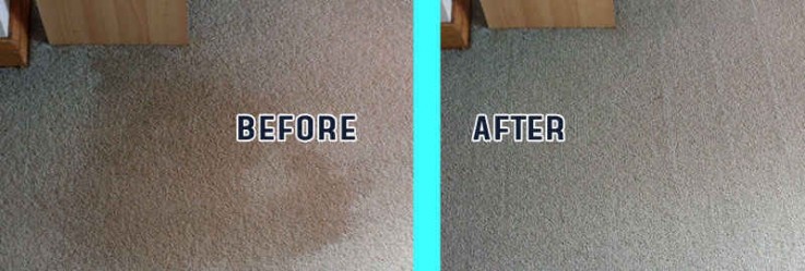 Carpet Cleaning Cranbourne