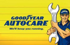 GOODYEAR AUTOCARE SUMNER PARK