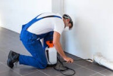 Termite and Pest Control North Brisbane