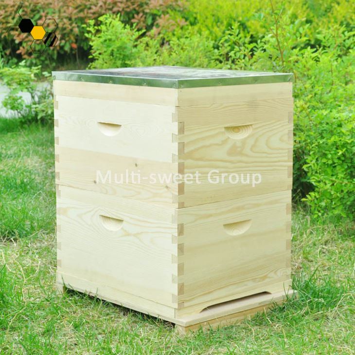 Australian Beehive67