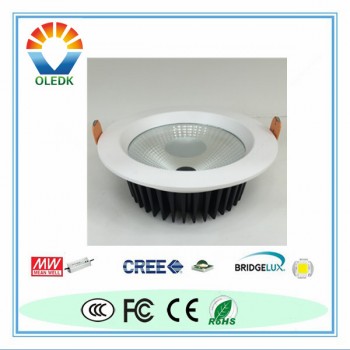 COB LED DownLight30