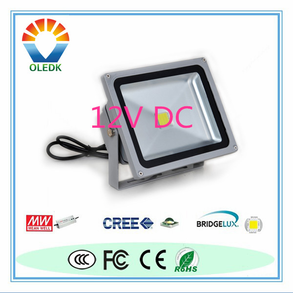 12V DC LED Flood Light30