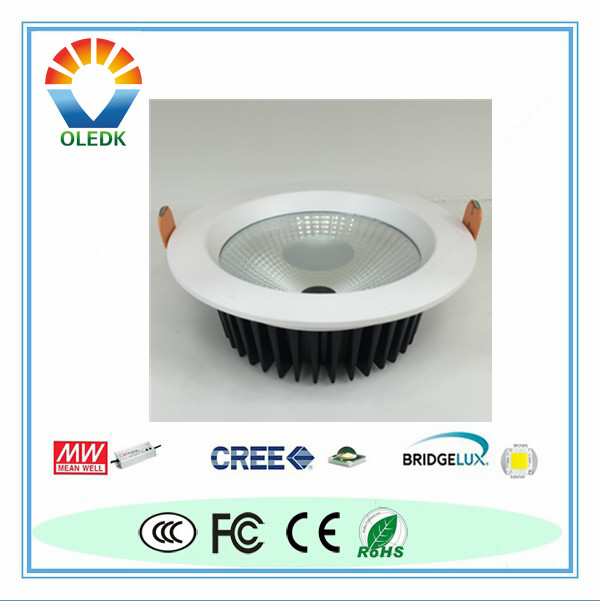 COB LED DownLight77