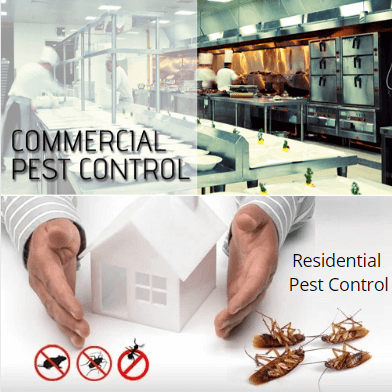 Pest Control Essendon