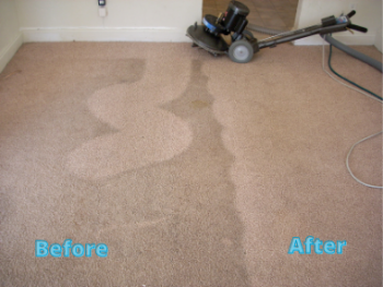 Carpet Cleaning Services in Sydney 