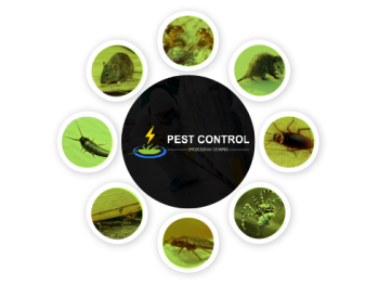 Pest Control Bridgeman Downs