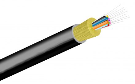 fiber optic module