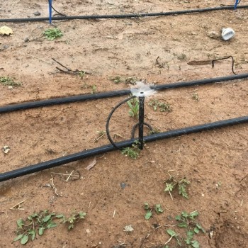 Drip T tape irrigation system45