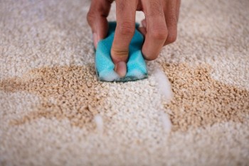 Carpet Cleaning Richmond