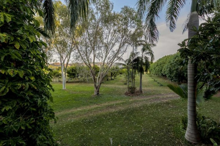 Lot 638 PacksaddleRoad,Kununurra WA 6743