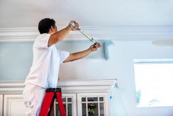 Professional Painting Services in Sydney