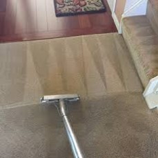 Carpet Cleaning Waterloo