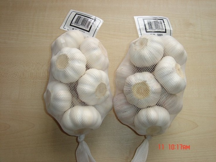 Prepack Normal White Garlic32