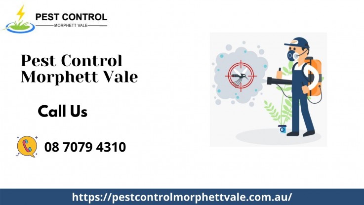 Pest Exterminators in Morphett Vale, SA